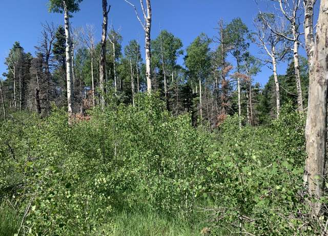 Property at TBD Sigler Rd Unit 2183,2188,2189, Ft. Garland, CO 81133