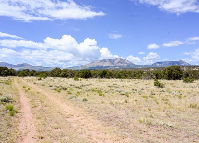 Property at 46 & 47 Colorado Land & Grazing Unit BB, Gardner, CO 81040