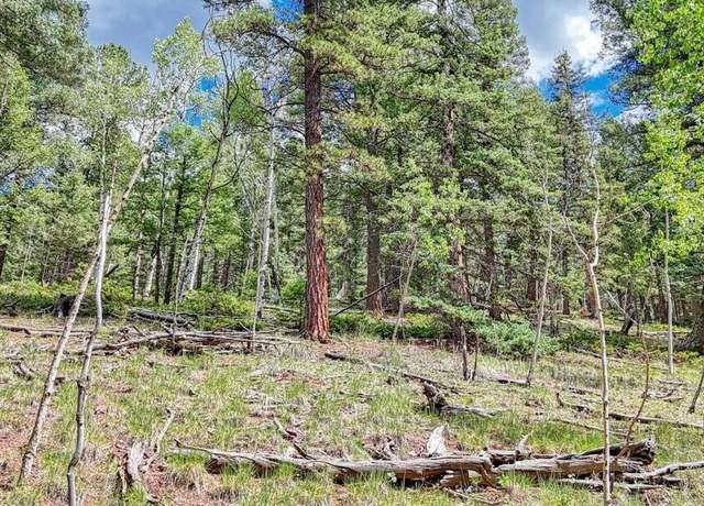 Property at Property in Cripple Creek, CO 80813