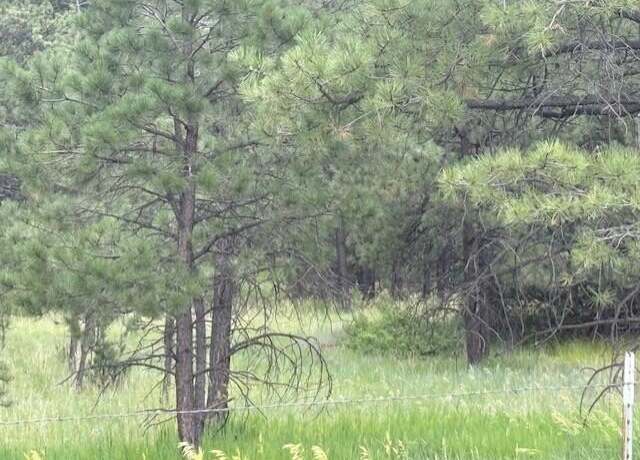 Property at N/A Spanish Highlands Filing #4 #173, Bon Carbo, CO 81024