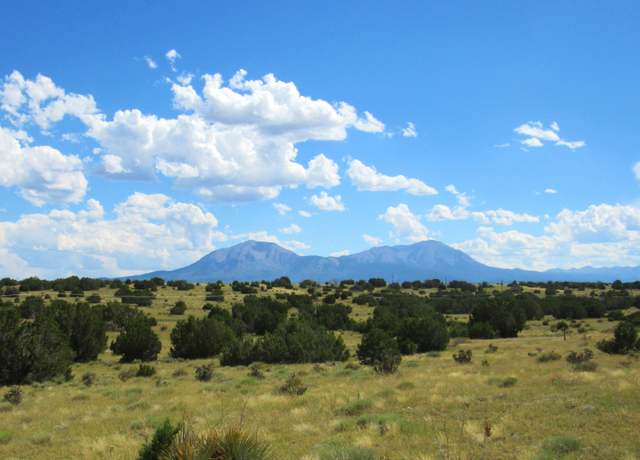 Property at Greenhorn Vlg Lot 209, Walsenburg, CO 81089