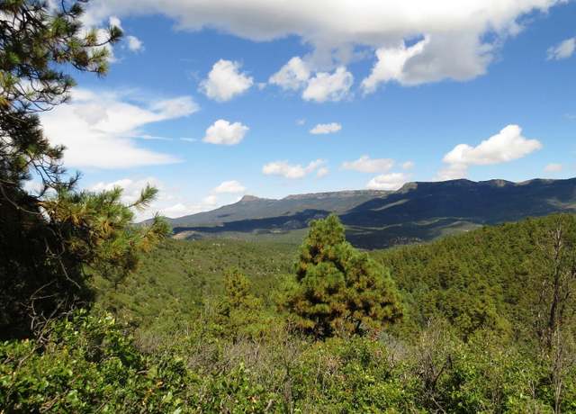Property at 36435 Alpine Meadows Dr, Trinidad, CO 81082