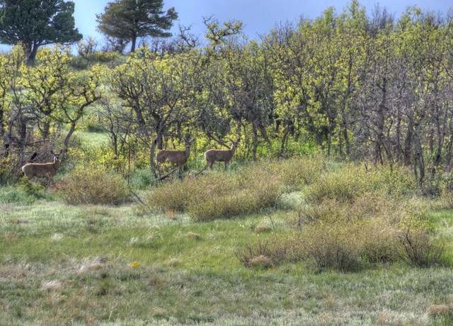 Property at Tract 21 Raspberry Mountain Rnch, La Veta, CO 81055