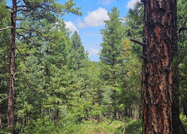 Property at 32 Puma Ct Unit H12, Trinidad, CO 81082