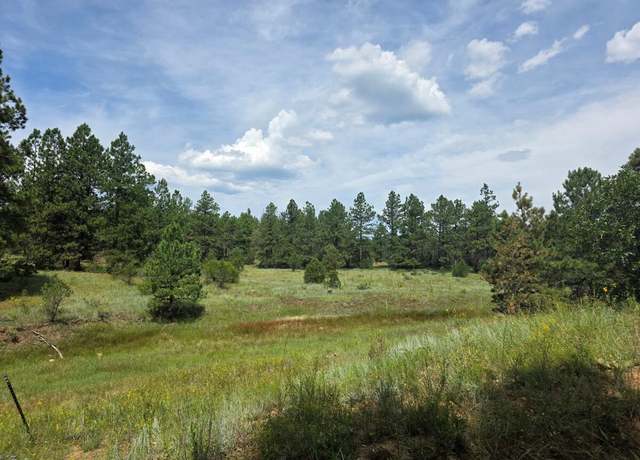 Property at 21376 Aspen Ln, Weston, CO 81091
