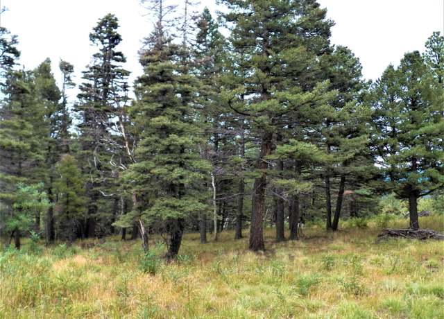 Property at TBD W Spanish Peaks Dr Unit 5 Lot 1, Aguilar, CO 81020