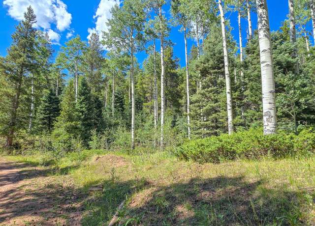 Property at TBD Purnell Ln, Ft. Garland, CO 81133