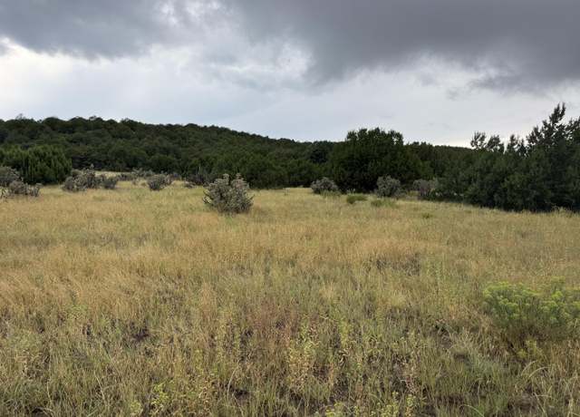 Property at TBD Reins Rd Lot 51, Walsenburg, CO 81089