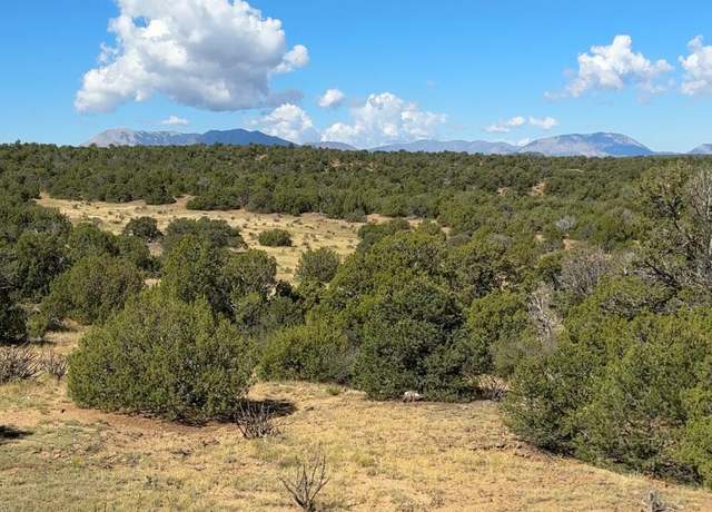 Property at LOT 463 Rio Cucharas Unit PHASE 2 335-339, Walsenburg, CO 81089