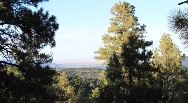 Photo of 33041 Conifer Dr, Trinidad, CO 81082