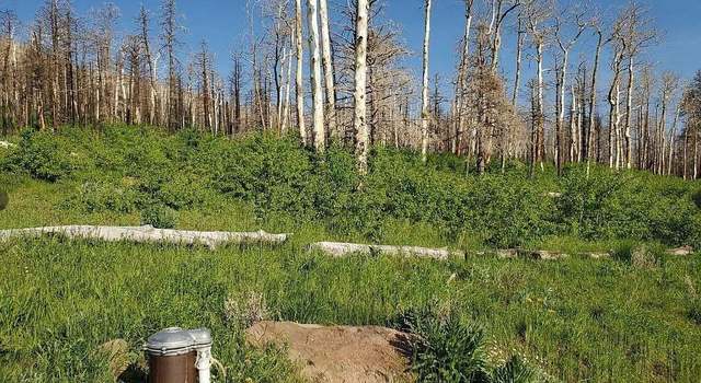 Photo of Lot 2067 Korloft Ln, Ft. Garland, CO 81133
