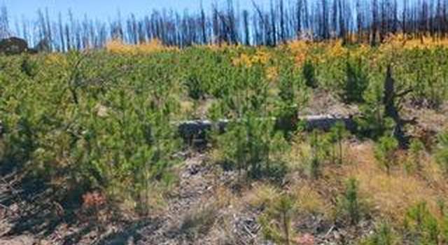 Photo of Lot 875 Ueda Pl, Ft. Garland, CO 81133
