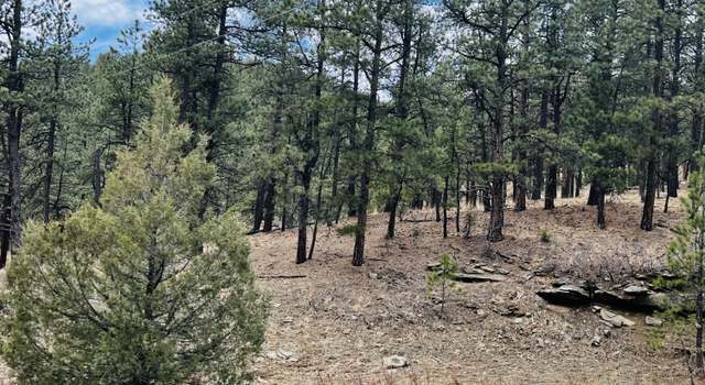 Photo of Lot 36 Logging Canyon Rd #36, Weston, CO 81091