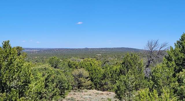 Photo of 99 River Ridge Rnch #4, Walsenburg, CO 81089