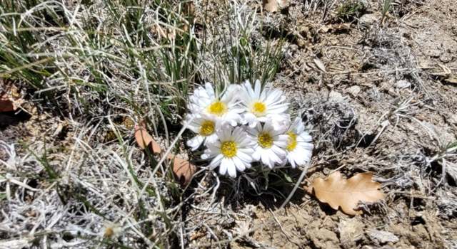 Photo of 99 River Ridge Rnch #4, Walsenburg, CO 81089