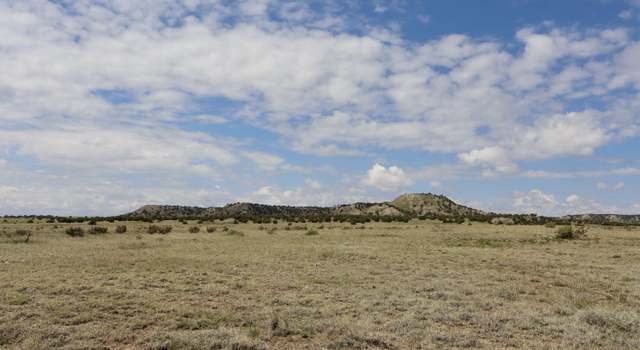 Photo of 40 Acres Las Animas Rnch, Model, CO 81059