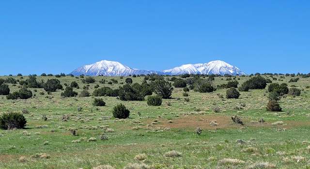 Photo of Rio Cucharas Ph 1 #77, Walsenburg, CO 81089