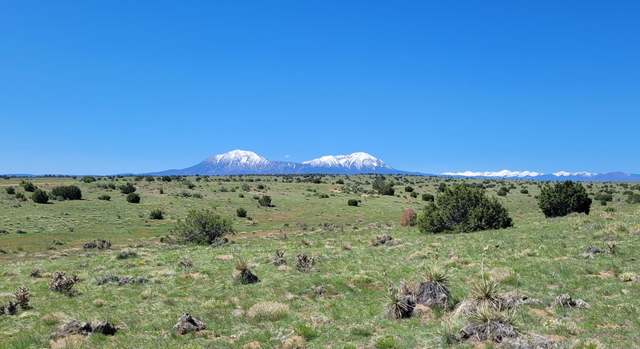 Photo of Rio Cucharas Ph 1 #77, Walsenburg, CO 81089