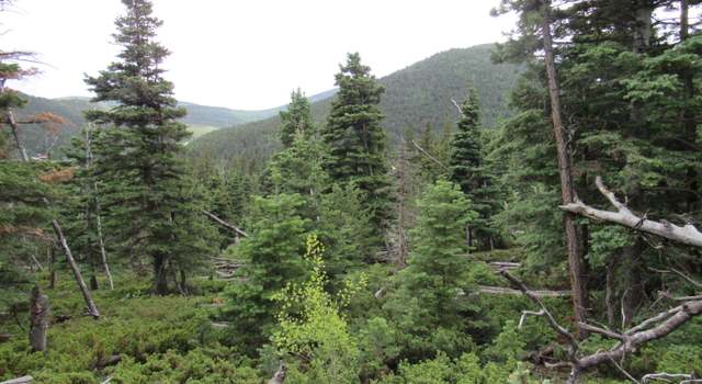 Photo of Valley Vis Lot 103, Cuchara, CO 81055