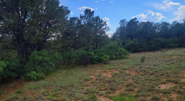 Photo of Unassigned Minehart Rd, Weston, CO 81091