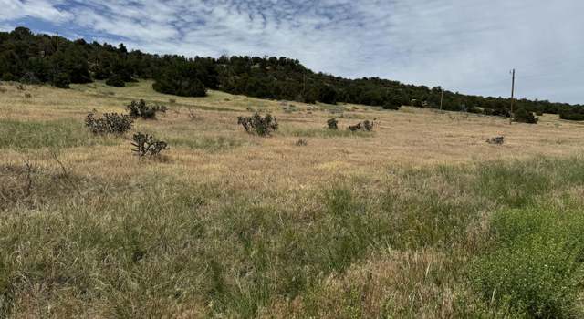 Photo of TBD Badger Rd Unit 171 & 172, Walsenburg, CO 81089