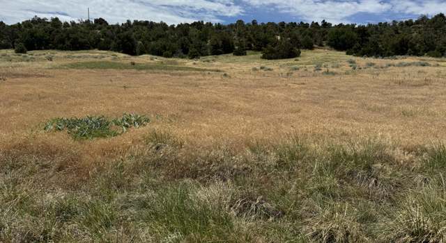 Photo of TBD Badger Rd Unit 171 & 172, Walsenburg, CO 81089