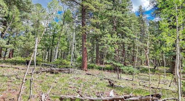 Photo of Property in Cripple Creek, CO 80813