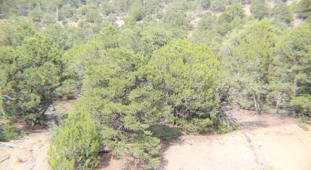 Photo of 11751 County Rd 73.2, Trinidad, CO 81082