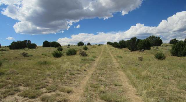 Photo of Greenhorn Vlg Lot 209, Walsenburg, CO 81089