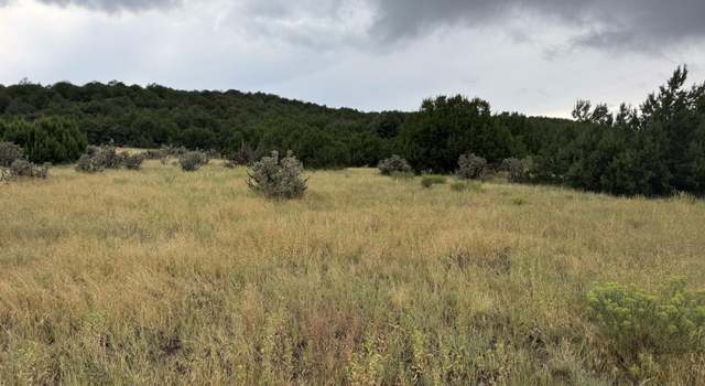 Photo of TBD Reins Rd Lot 51, Walsenburg, CO 81089