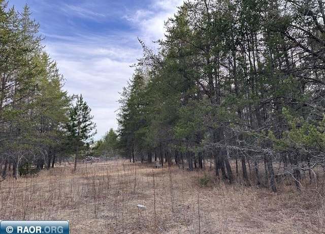 Property at TBD Hwy 21, Babbitt, MN 55706