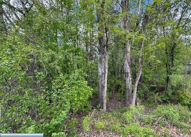 Property at TBD 38th St, Hibbing, MN 55746