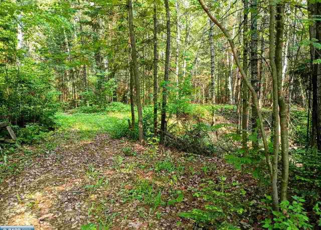 Property at TBD Long Lakes Shores Rd, Eveleth, MN 55734