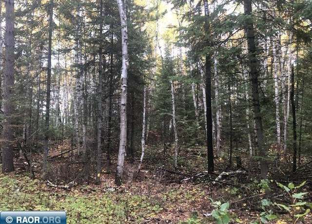 Property at xxxx Highway 5, Cook, MN 55723