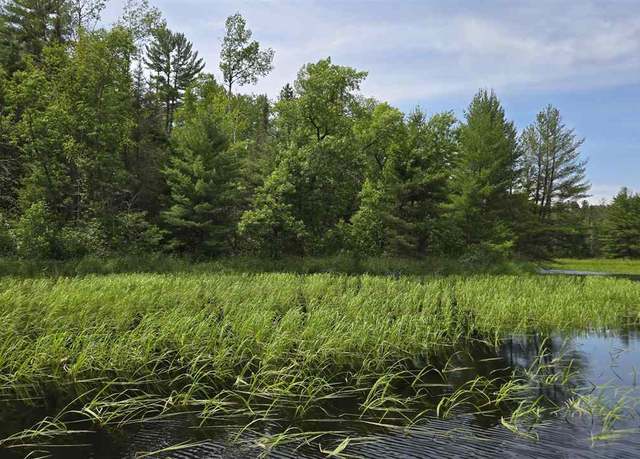Property at TBD 40 N Rollick Crk, Crane Lake, MN 55725