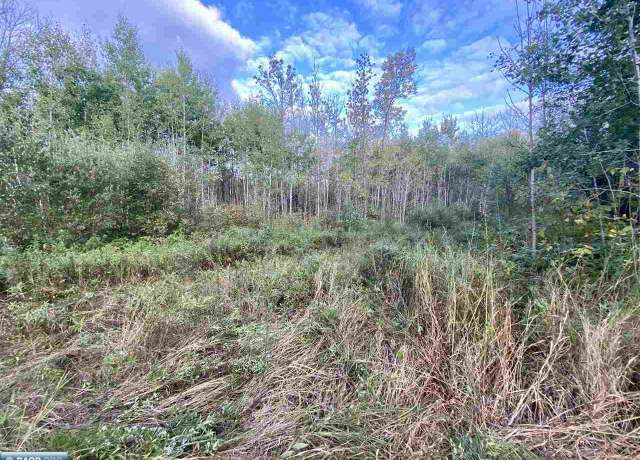 Property at TBD Olson Rd, Orr, MN 55771