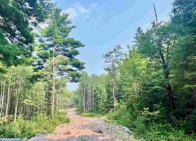Property at Parcel B Vermilion Lake Rd, Cook, MN 55723