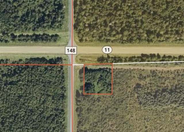 Property at TBD Hwy 11, Baudette, MN 56623