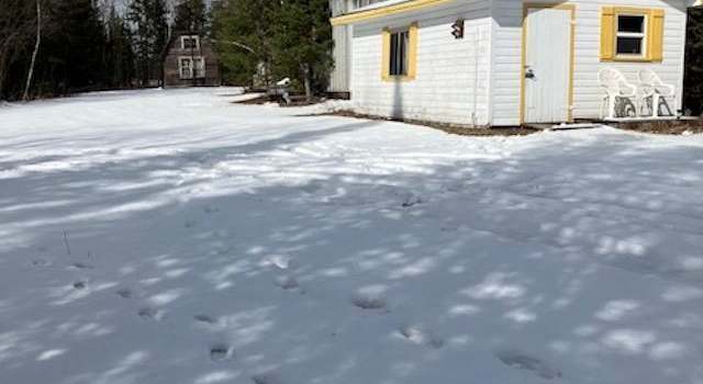 Photo of 8835 Hwy 25, Angora, MN 55703