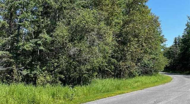Photo of TBD Town Road 224, International Falls, MN 56649