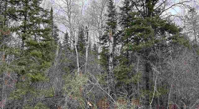 Photo of TBD Butler Rd, Mt Iron, MN 55751