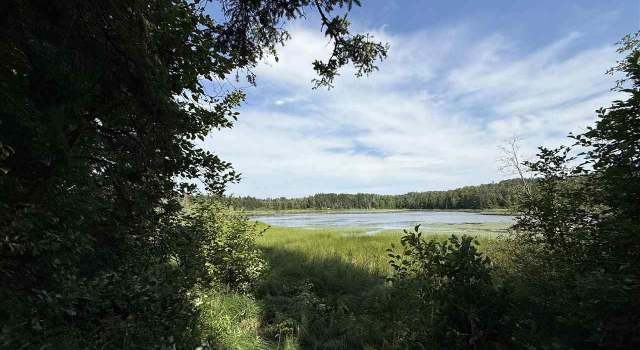 Photo of 12015 Luna Lake Rd, Side Lake, MN 55781