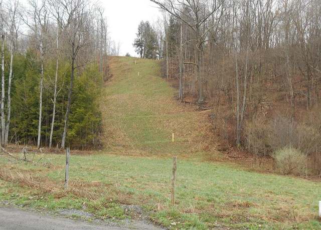 Property at - Taylor Run Rd, Blossburg, PA 16912