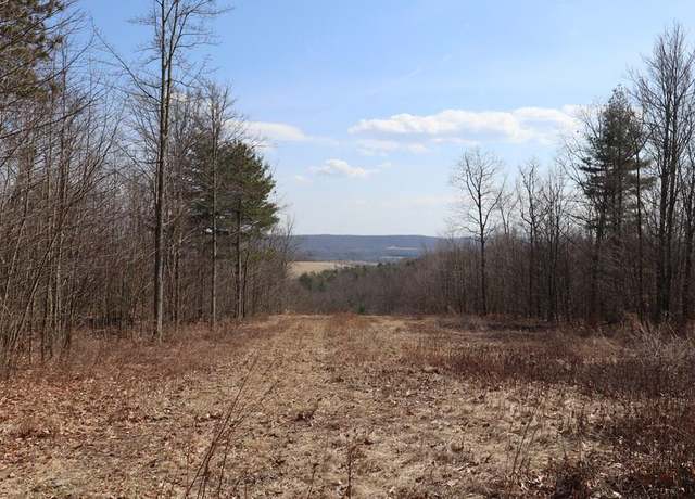 Property at 0 Hill Rd, Sayre, PA 18840