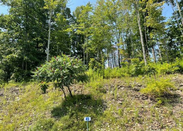 Property at Lot 45 Hemlock Hills Rd, Towanda, PA 18848