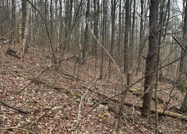 Property at 0 Birch Hill Rd, Lawrenceville, PA 16929