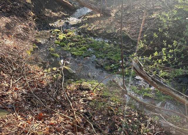 Property at 0 Cumming Rd, Tioga, PA 16946
