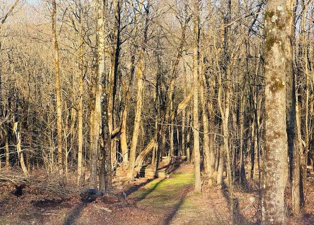 Property at 46.33 Vacant Acres Retter Rd, Rome, PA 18837