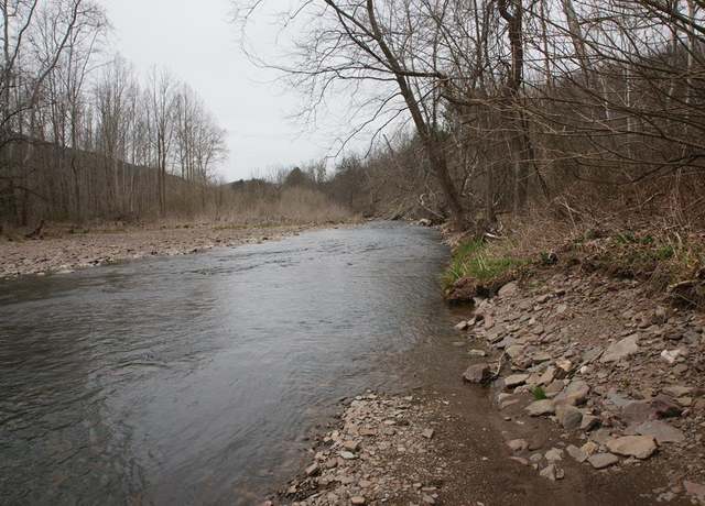 Property at 0 Route 87, Dushore, PA 18614