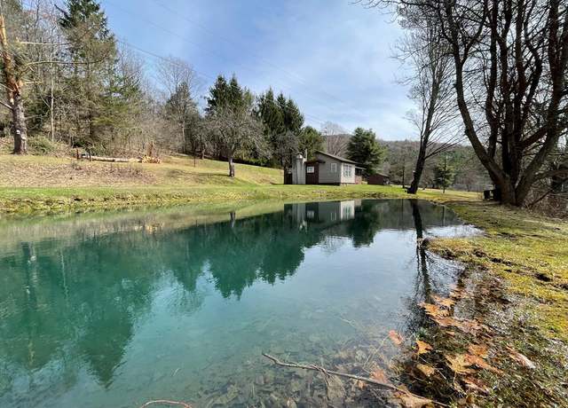 Property at 252 School St, Oswayo, PA 16915, 2 beds, 1 bath